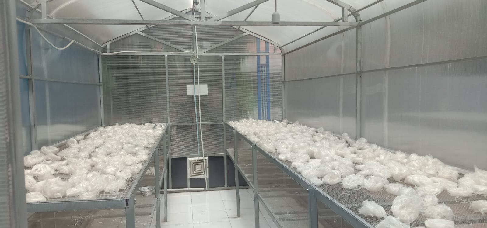 Produksi olahan rumput laut produksi Koperasi Mina Agar Makmur