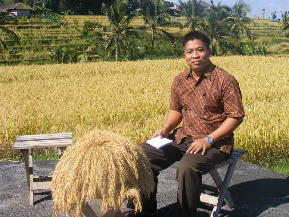 Dosen FP Universitas Warmadewa Nengah Muliarta, mendapatkan hak paten dekomposer jerami dengan bakteri lokal Bali.