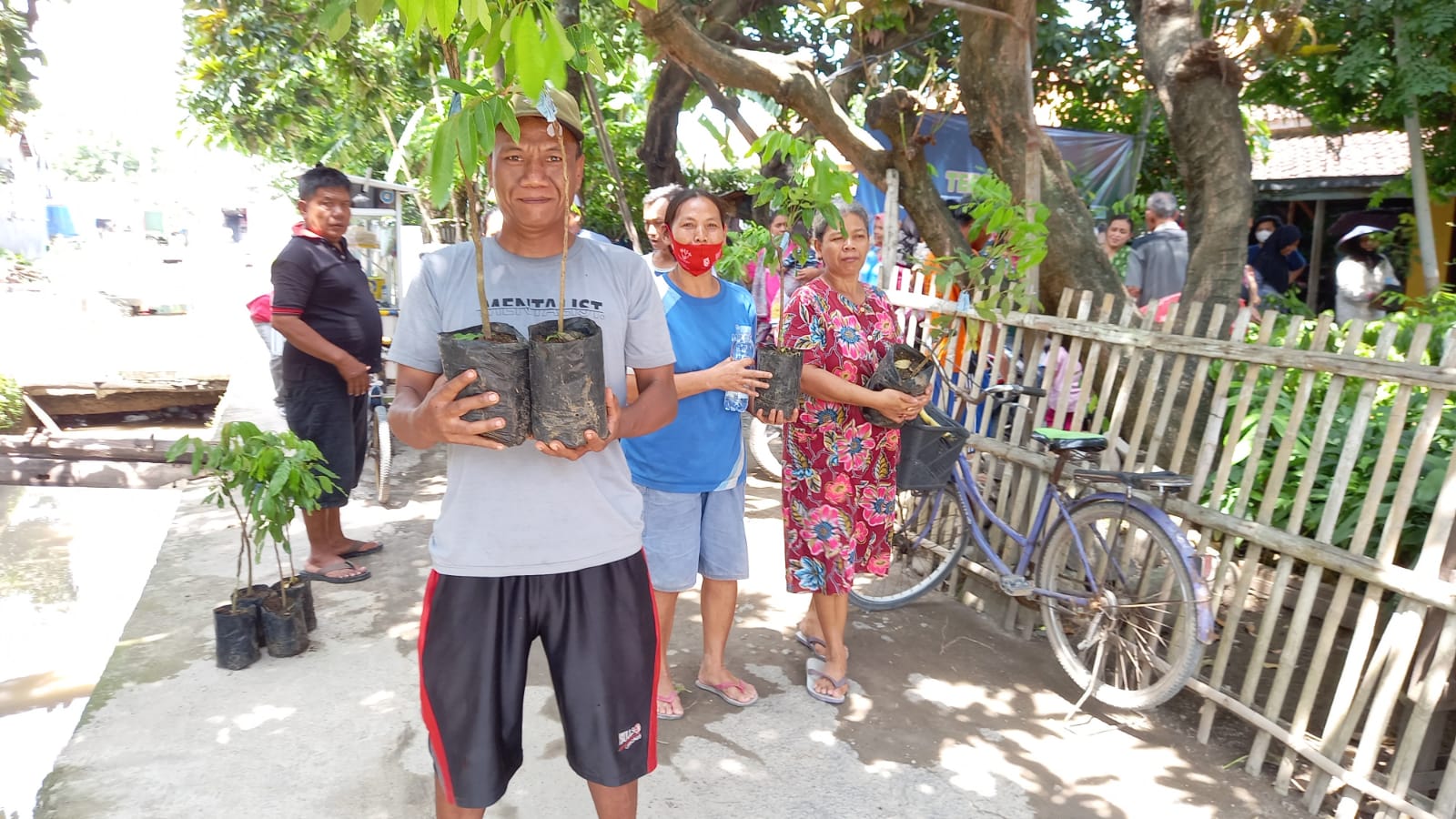 Warga Desa Klampok, Kec.Wanasari, Brebes, menunjukkan bibit buah kelengkeng bantuan yang diterima dari DPD Partai NasDem