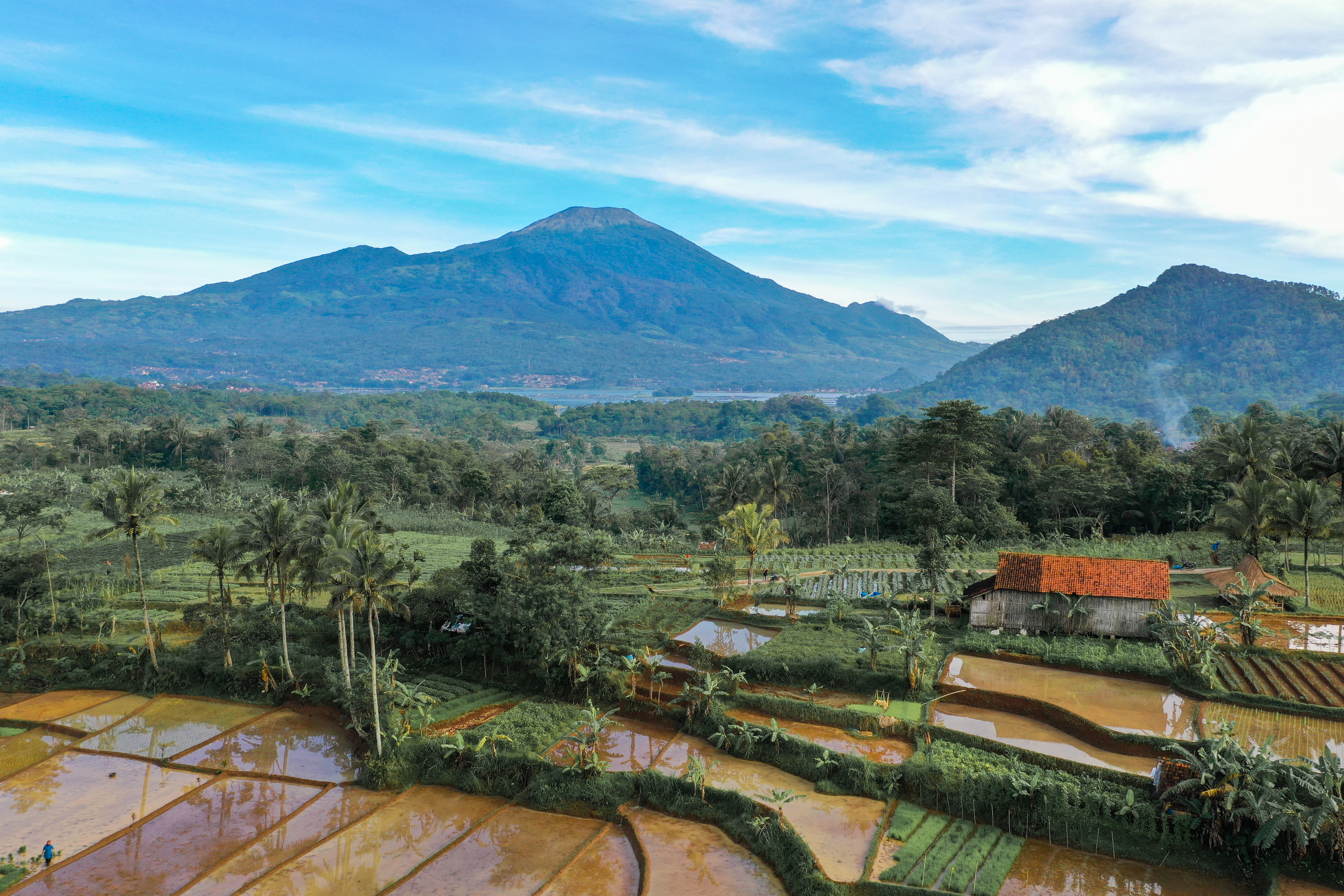 Studi: Sentuhan Alam Signifikan Tekan Stres Warga Perkotaan