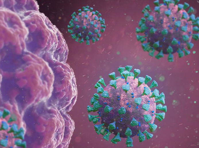 Ilustrasi virus korona (Covid-19).