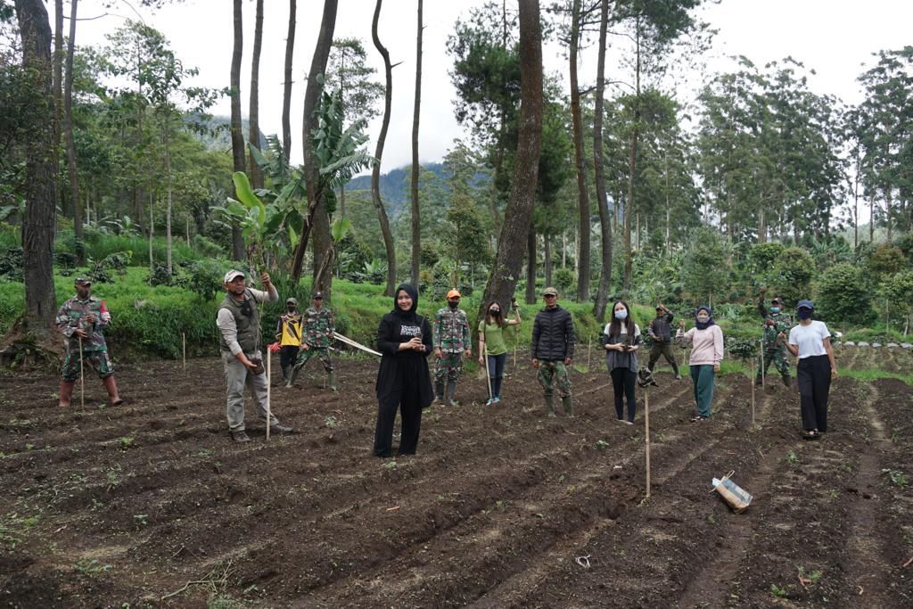Gerakan menanam pohon di anggota Sebumi bersama Papatong Artspace, Perhutani BKPH Pangalengan, Yayasan Budiasih, dan Kodam Siliwangi.