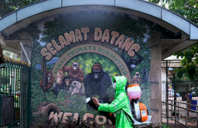 Petugas menyemprotkan dIsinfektan di Kebun Binatang Ragunan, Jakarta Selatan, Selasa (17/03/2020).