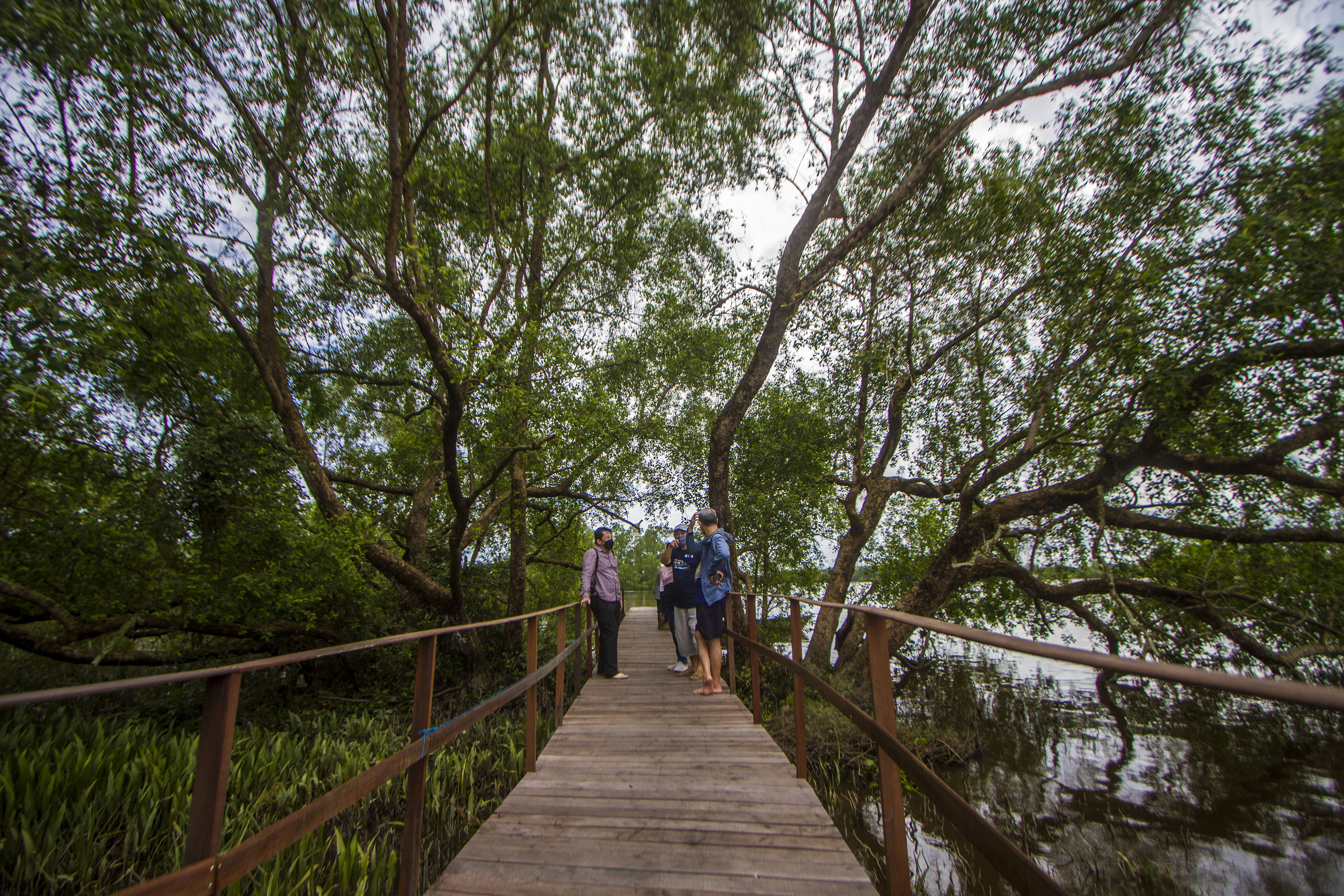 Pengunjung bersantai di kawasan ekowisata Mangrove Rambai Center di Kecamatan Anjir Muara, Kabupaten Barito Kuala, Kalimantan Selatan.