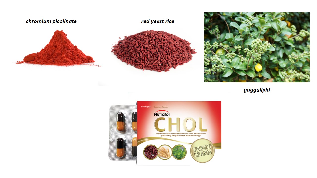 Ilustrasi. Beberapa bahan obat herbal.