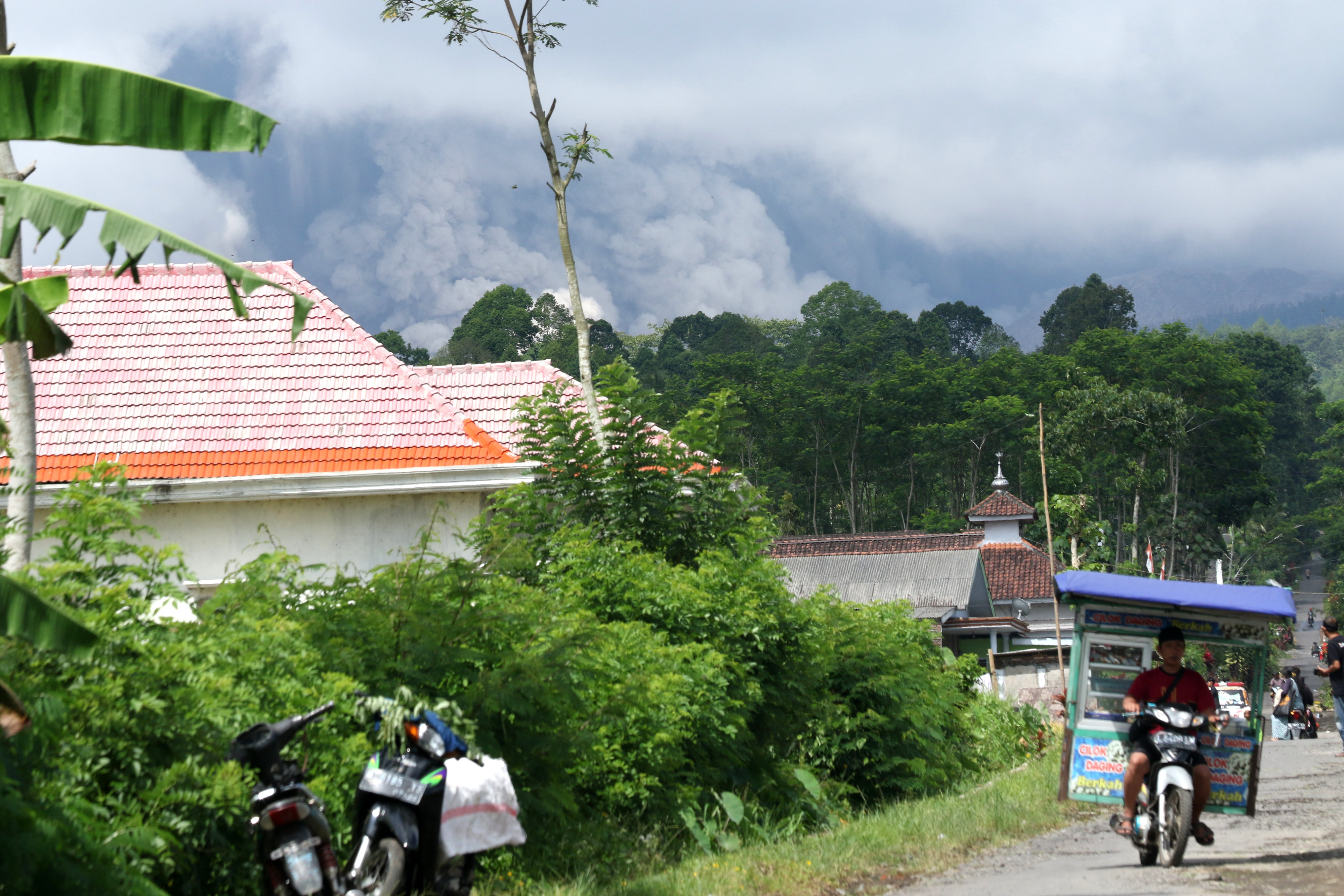 Kepulan awan panas guguran Gunung Semeru terlihat dari Desa Sumber Mujur, Candipuro, Lumajang, Jawa Timur, Kamis (16/12).