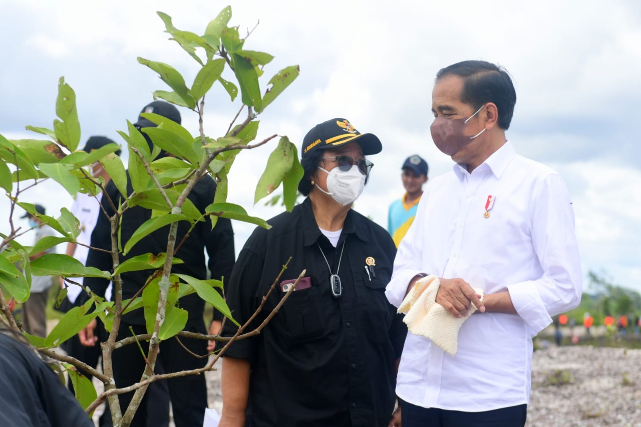 Menteri LHK Siti Nurbaya dan Presiden Jokowi berdialog saat kegiatan penaman pohon di daerah aliran sungai di Sintang, Kalbar, Rabu (8/12). 