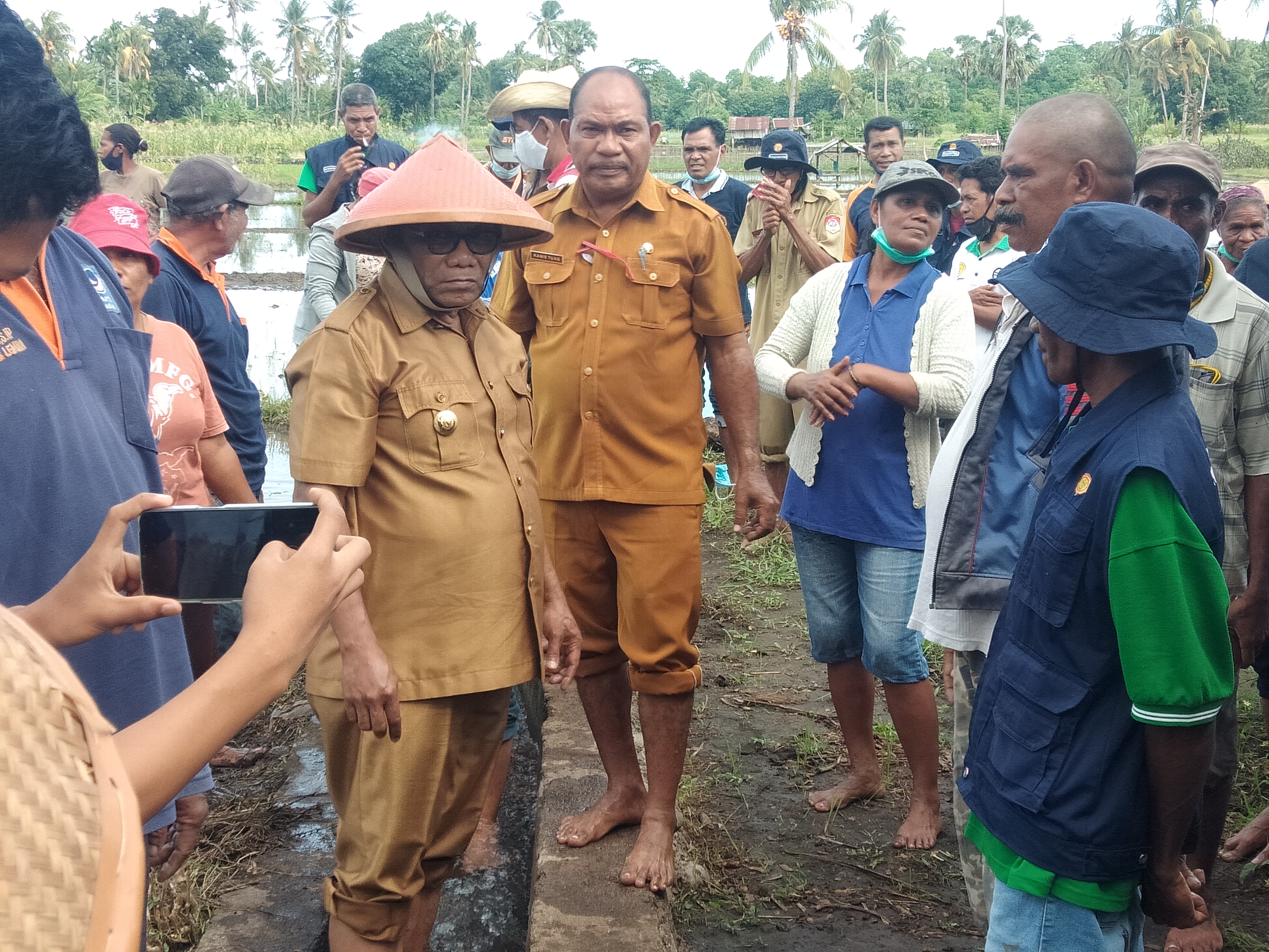 Bupati Lembata, Thomas Ola Langoday melakukan tanam padi perdana bersama kelompok tani menandai musim tanam kedua 2021, Selasa (7/12)