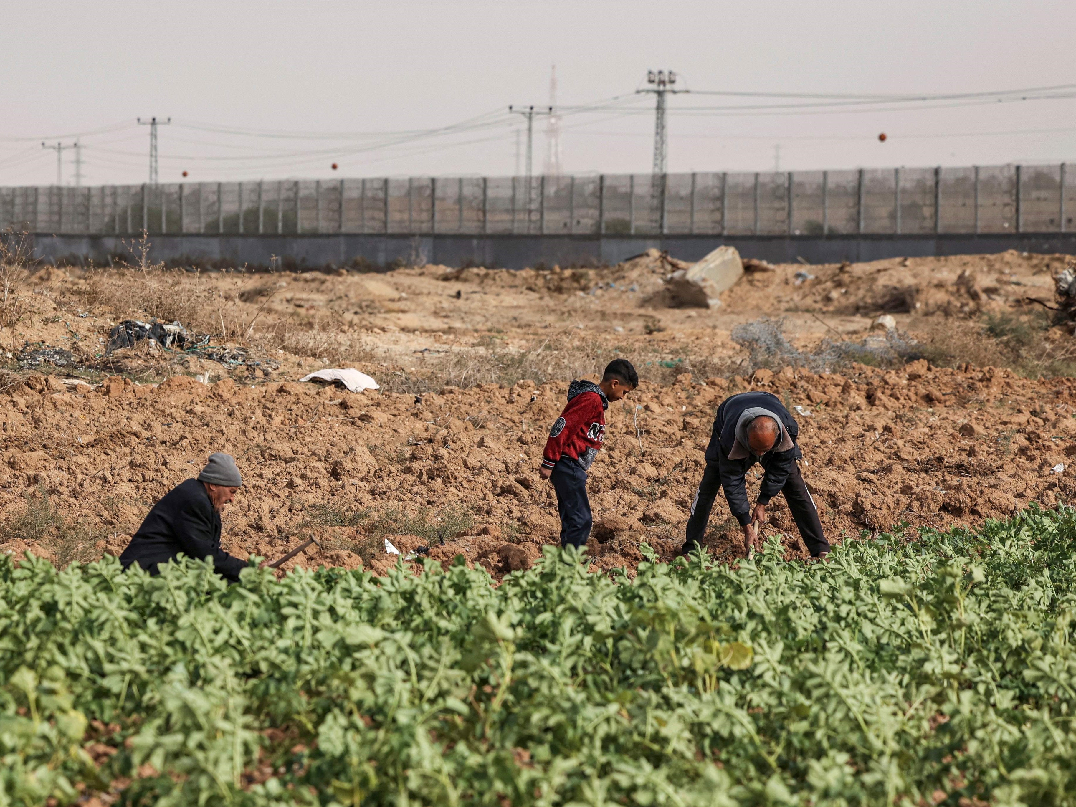 Petani Palestina menggali dengan cangkul di ladang dekat pagar yang menandai perbatasan antara Jalur Gaza Palestina dan Israel.