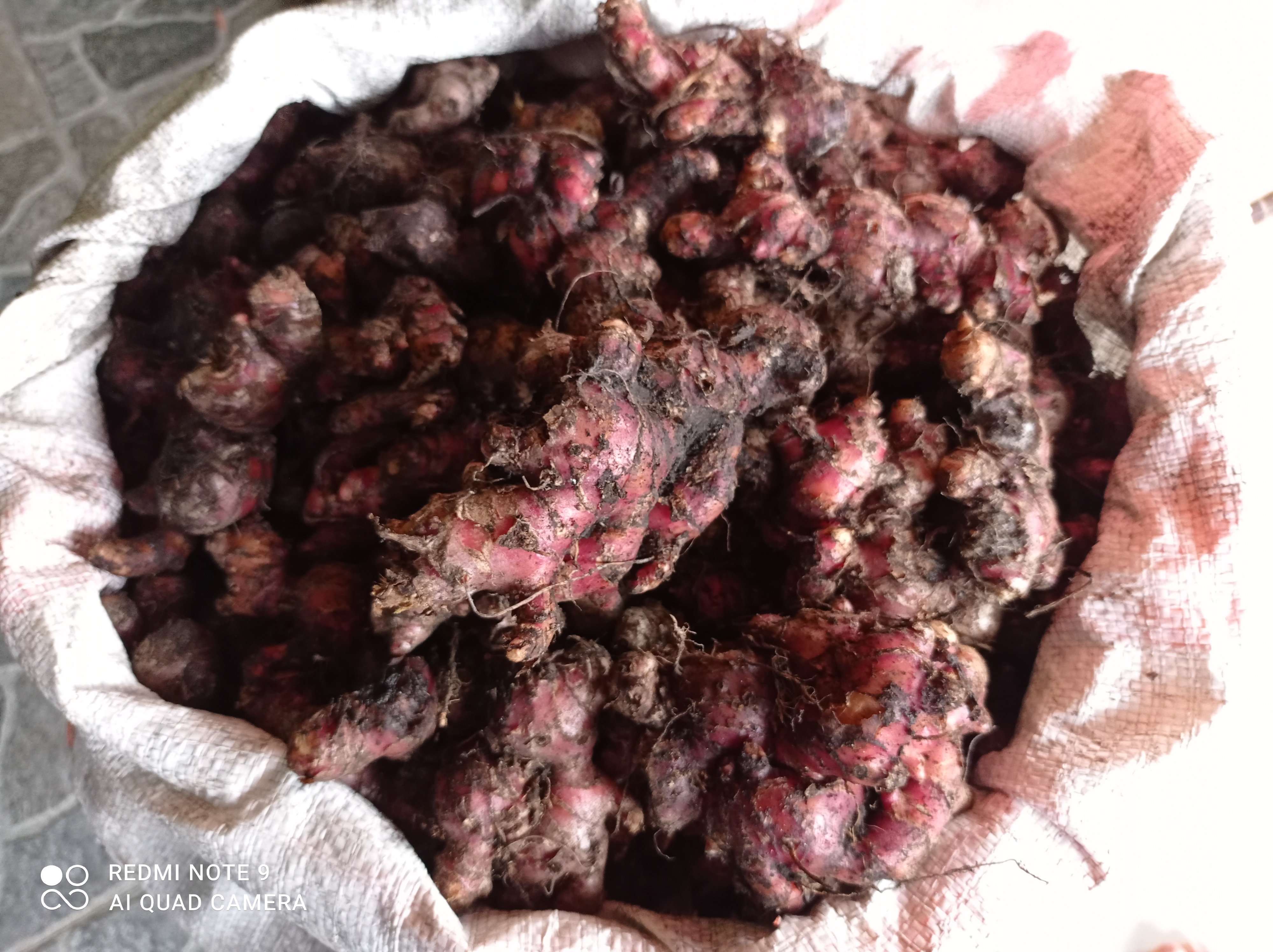 Waspada Pancaroba dan Omicron, Penting Tetap Jaga Daya Tahan Tubuh