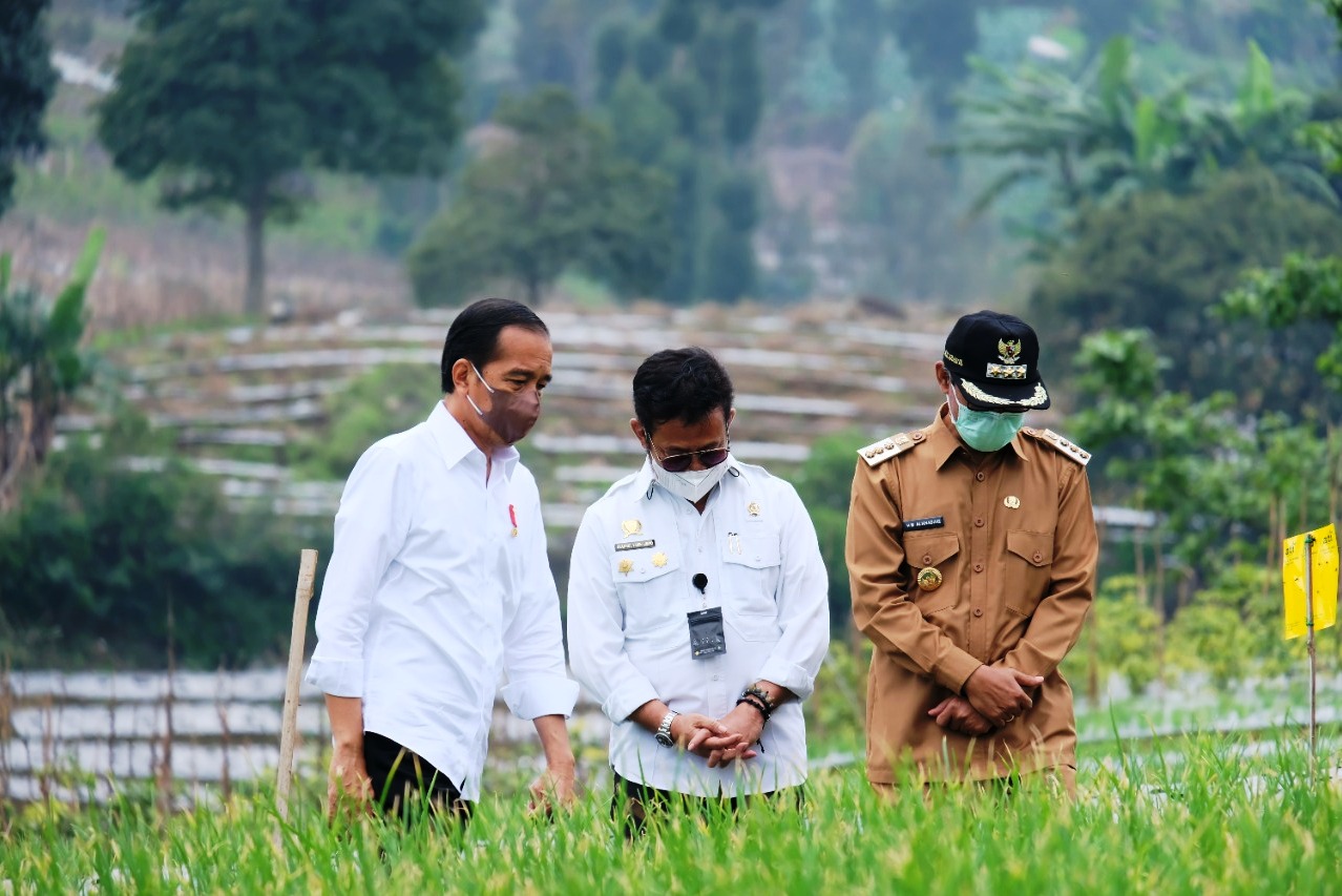 Presiden RI Joko Widodo (kiri) bersama Mentan SYL (tengah).