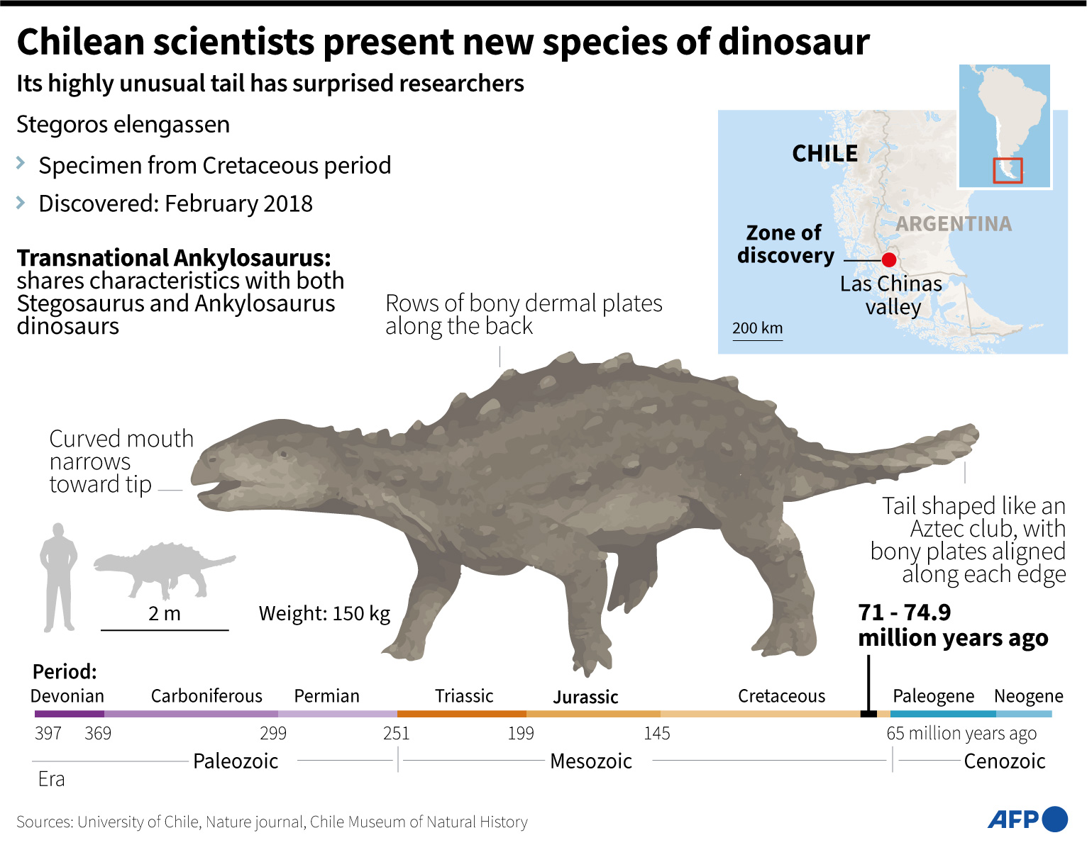 infografis penemuan spesies baru Dinosaurus di Cile