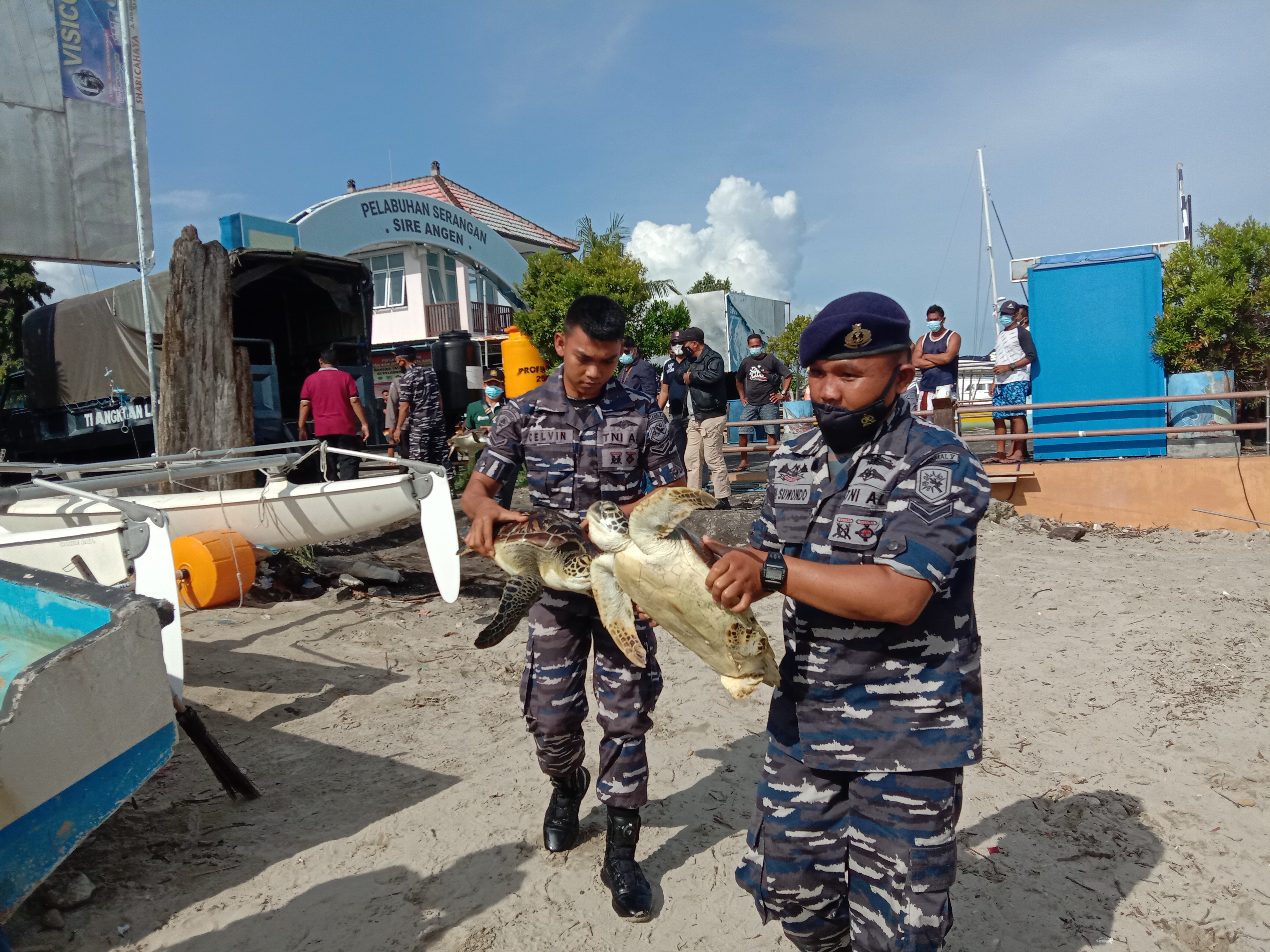 Petugas membawa penyu yang diselamatkan dari usaha penyelundupan.