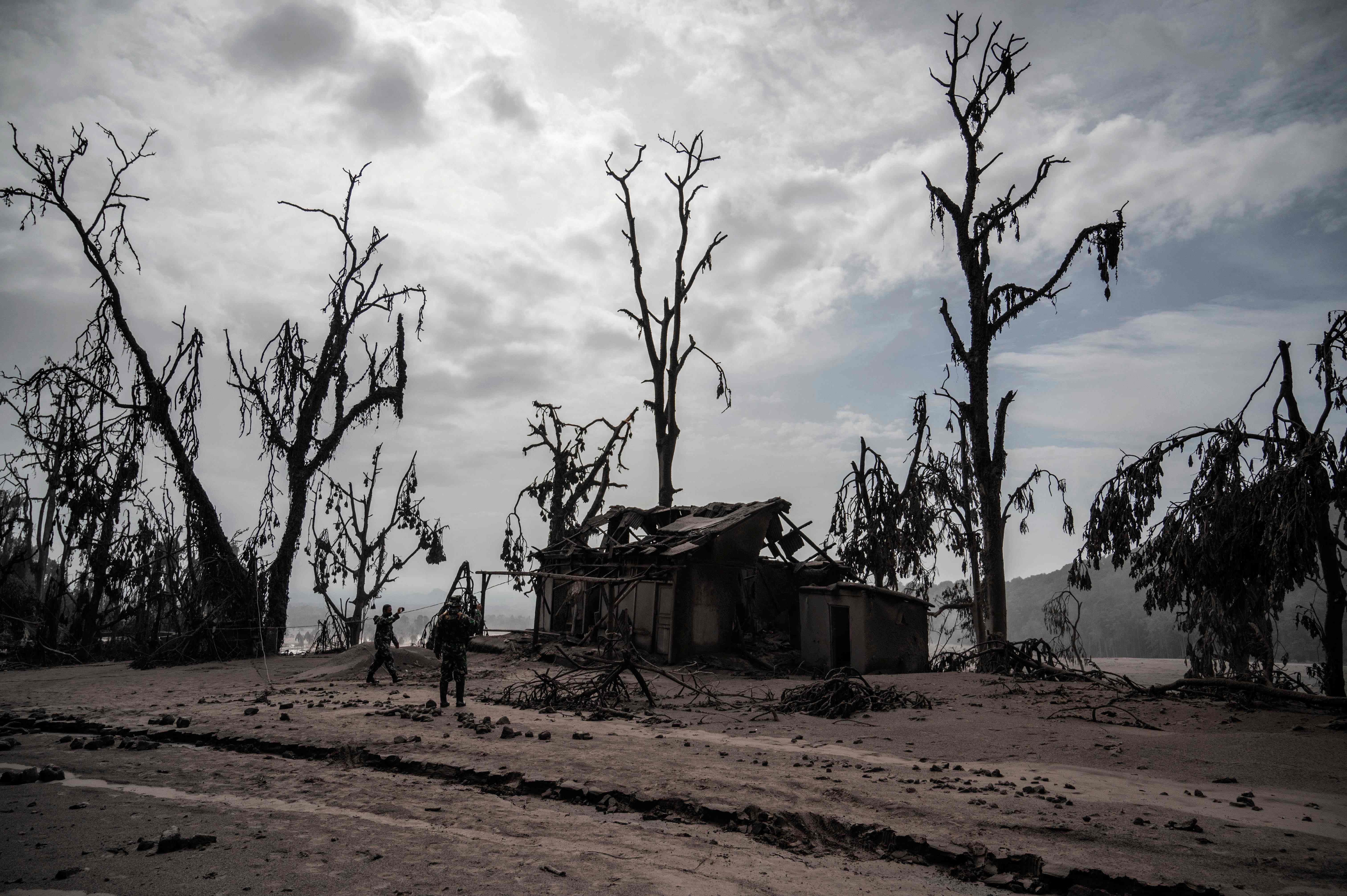 Pemandangan suatu area yang tertutup debu vulkanik di Desa Sumber Wuluh, Lumajang, Jawa Timur, Minggu (5/12)