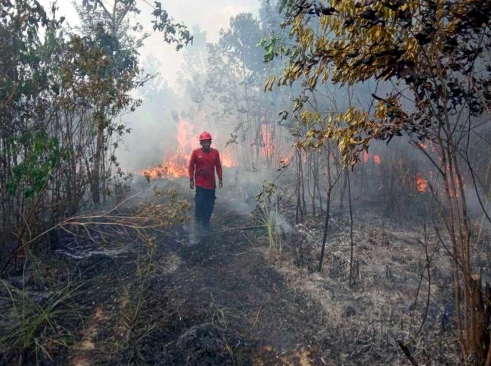 2022, Upaya Pencegahan Karhutla Terus Digalakkan