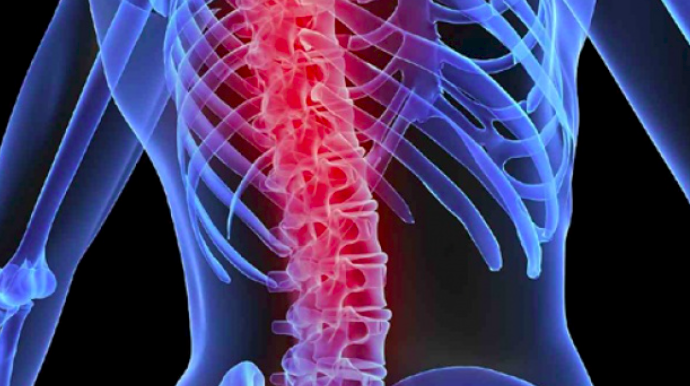 Fungsi dan Gangguan yang Sering Terjadi pada Tulang Hasta