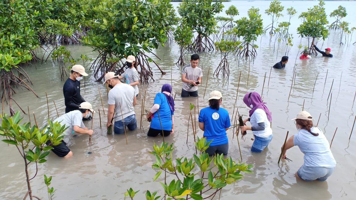 BP Batam dan PT TDK Electronics Indonesia melakukan penanaman 1.000 mangrove, pada Minggu (5/12) di Kaki Hilir Bendungan Tembesi.