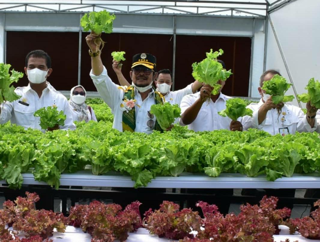 Kementan Bantu Kendalikan Harga Pangan agar tidak Merangkak Naik