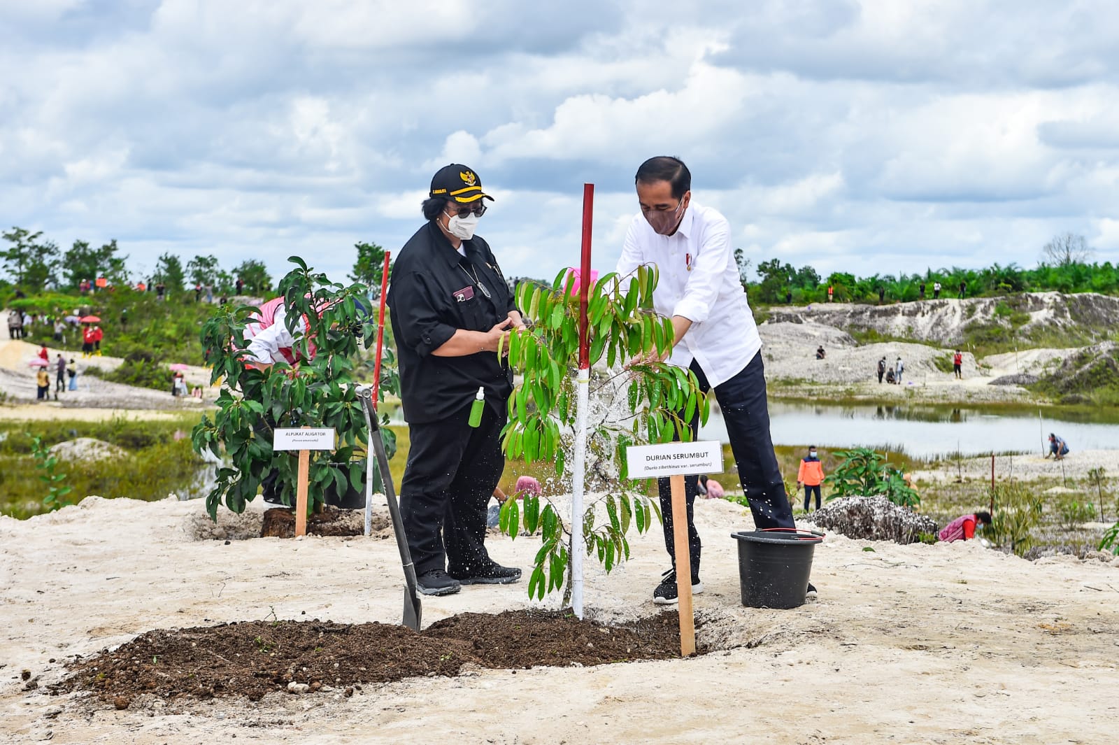 Presiden Joko Widodo dan Menteri LHK Siti Nurbaya melakukan penanaman pohon di Sintang, Kalimantan. 