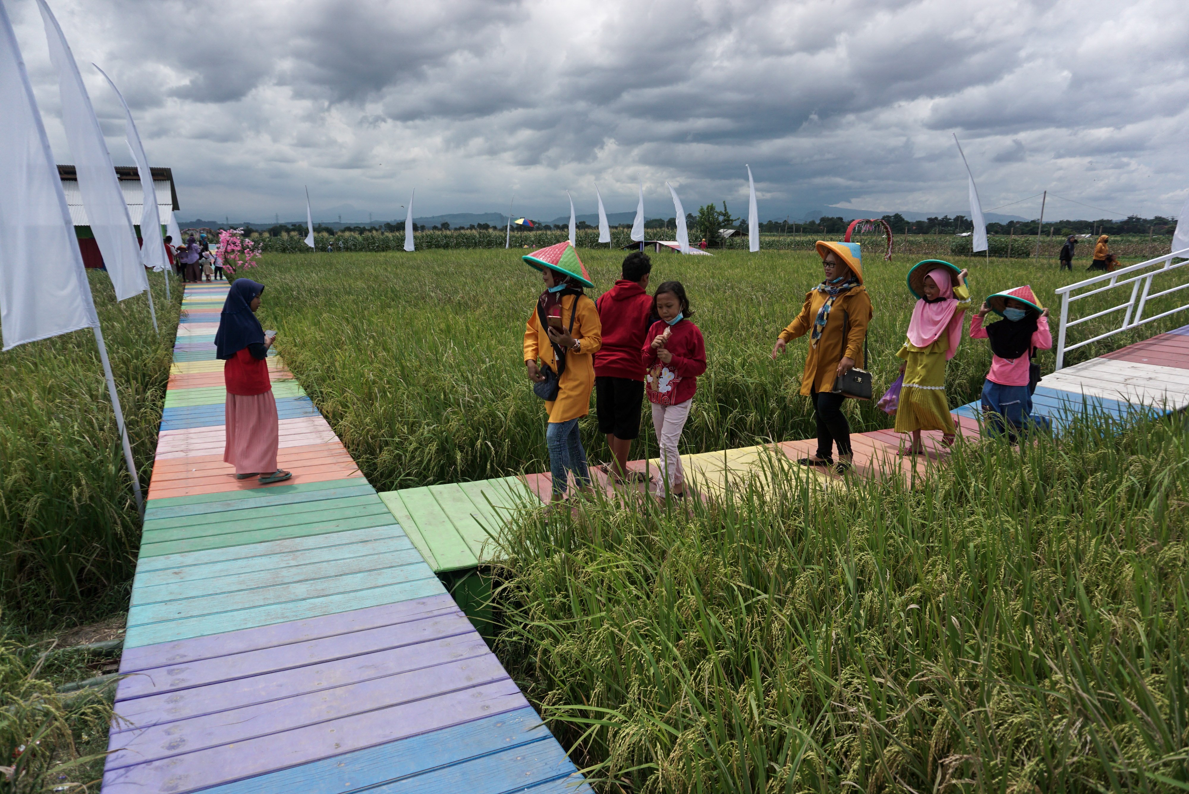 Pengunjung menikmati suasana wisata desa edukasi sawah Gatra Kencana di Desa Bojongnangka, Kabupaten Pemalang, Jawa Tengah.