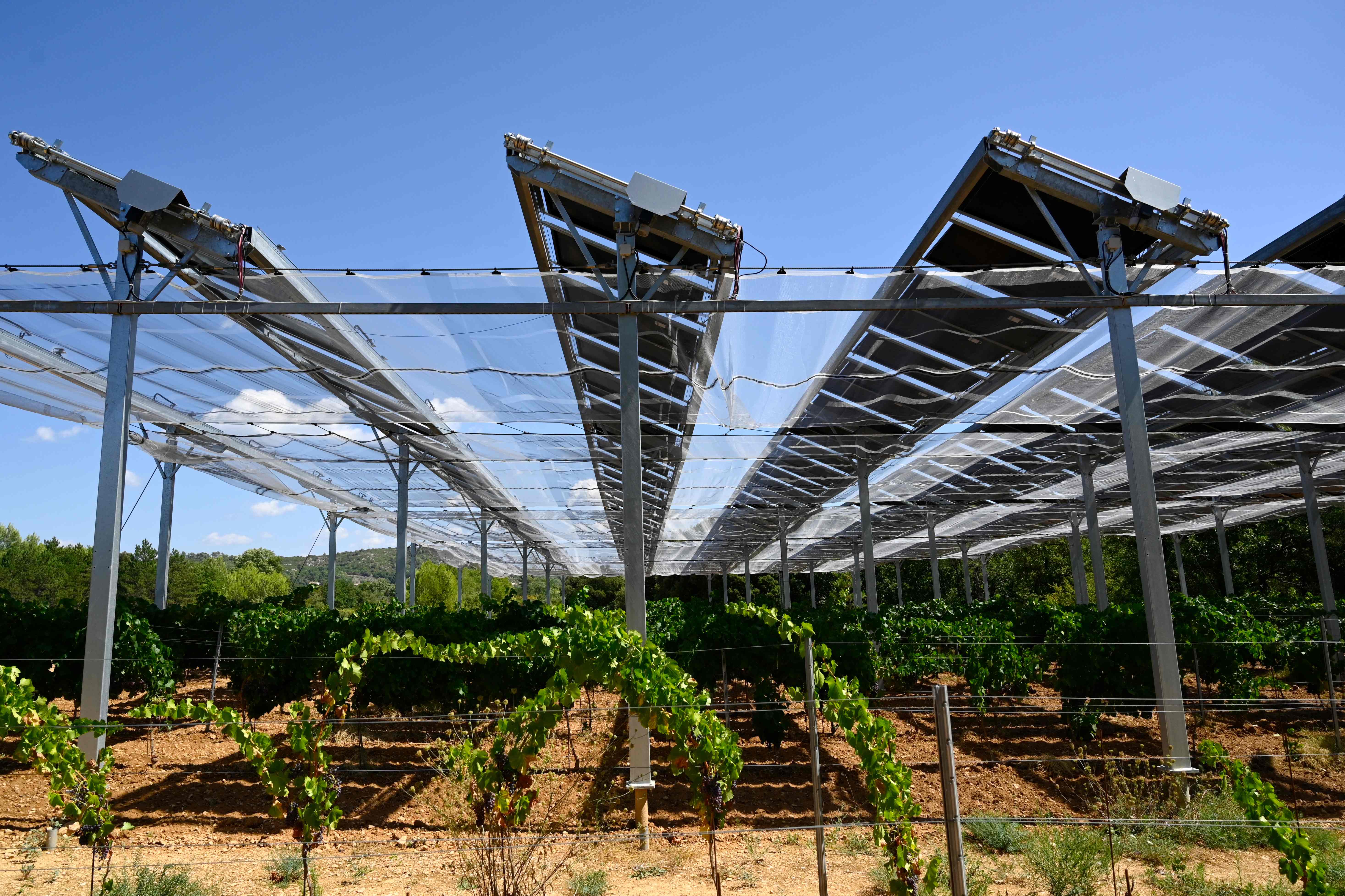 Ilustrasi: Salah satu area panel surya di Prancis