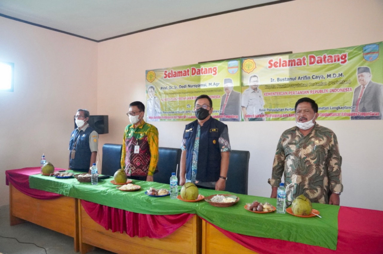 KEMENTERIAN Pertanian memperkuat sektor pertanian di Pangandaran, Jawa Barat. 