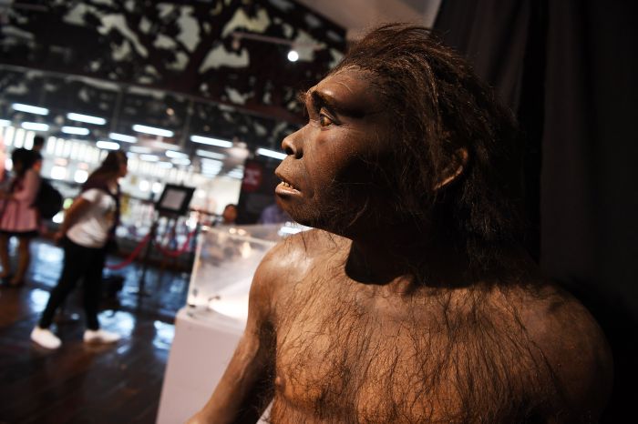 Ilustyrasi: manusia purba