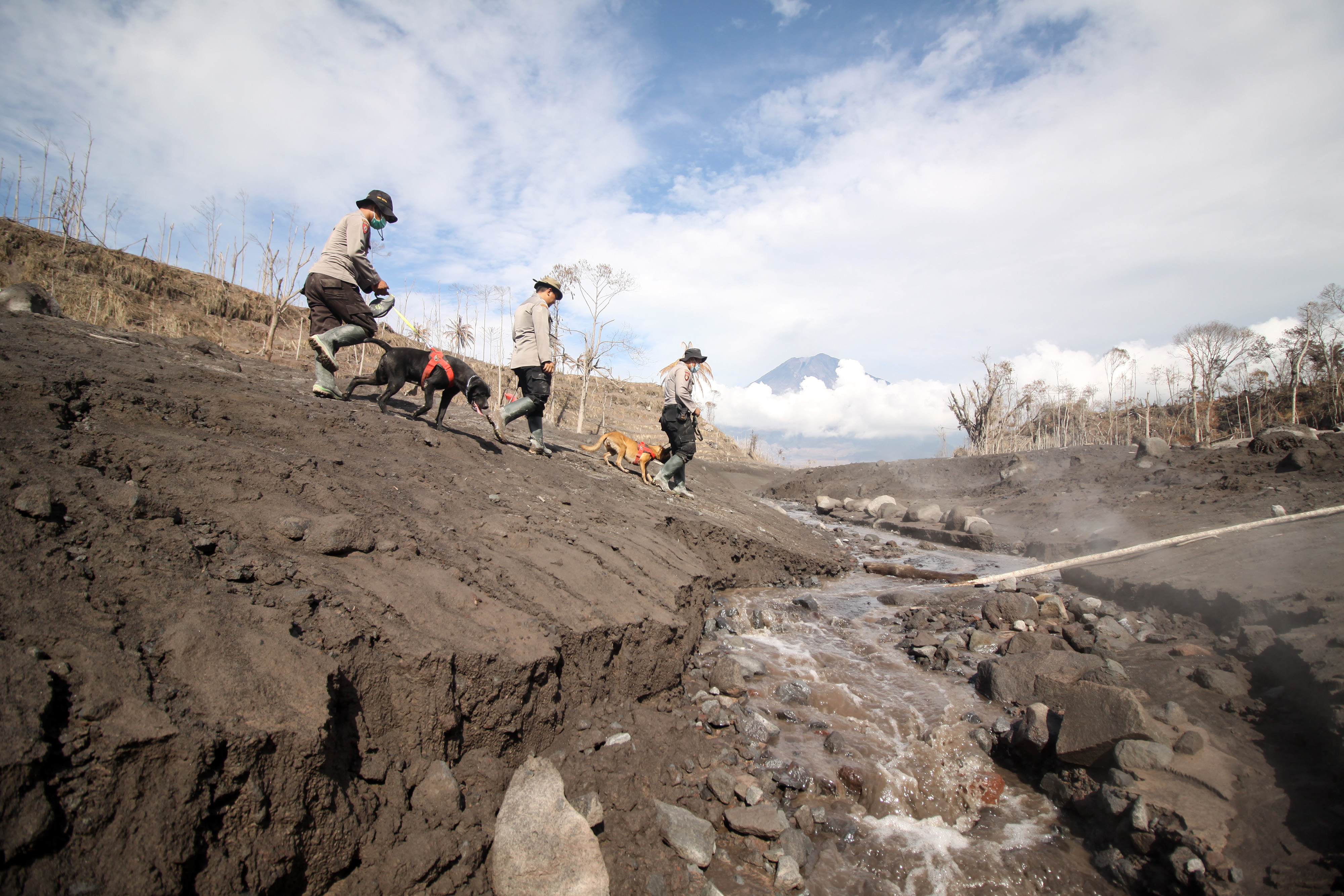 Update Dampak Erupsi Gunung Semeru : 43 Orang Meninggal, 6.022 Jiwa Mengungsi 