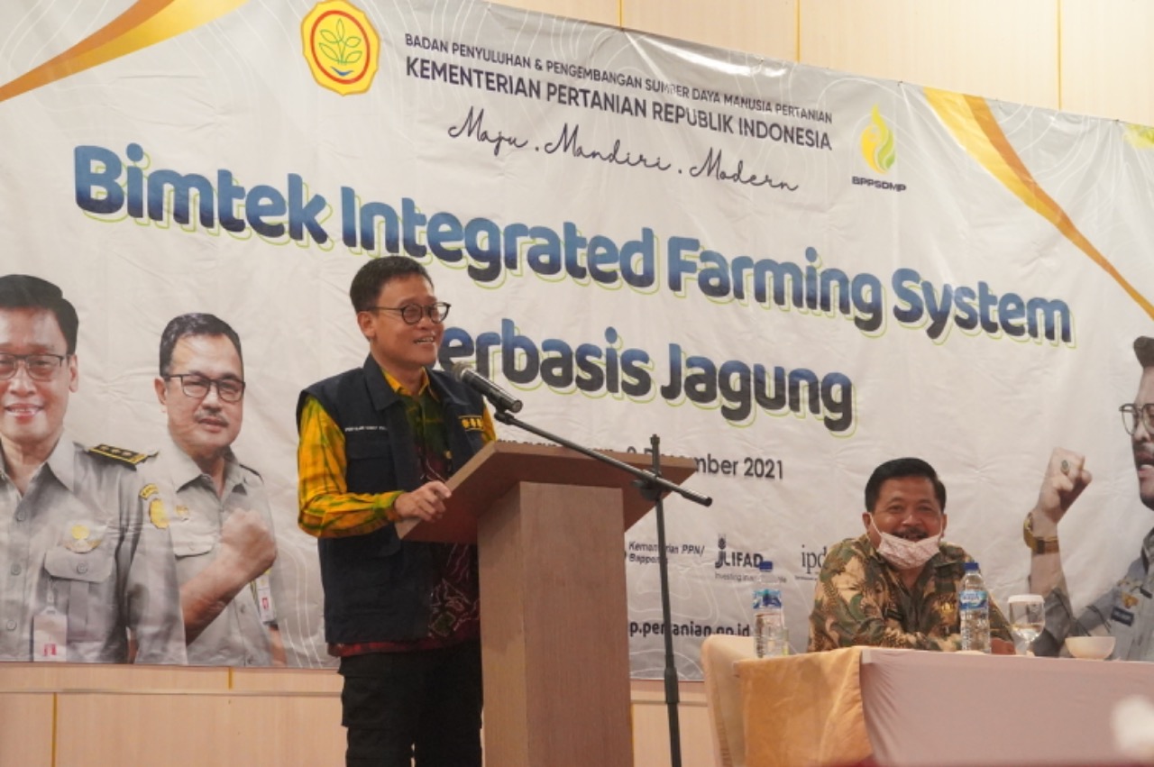 Sektor Tanaman Jagung Jadi Percontohan Sistem Pertanian Terintegrasi