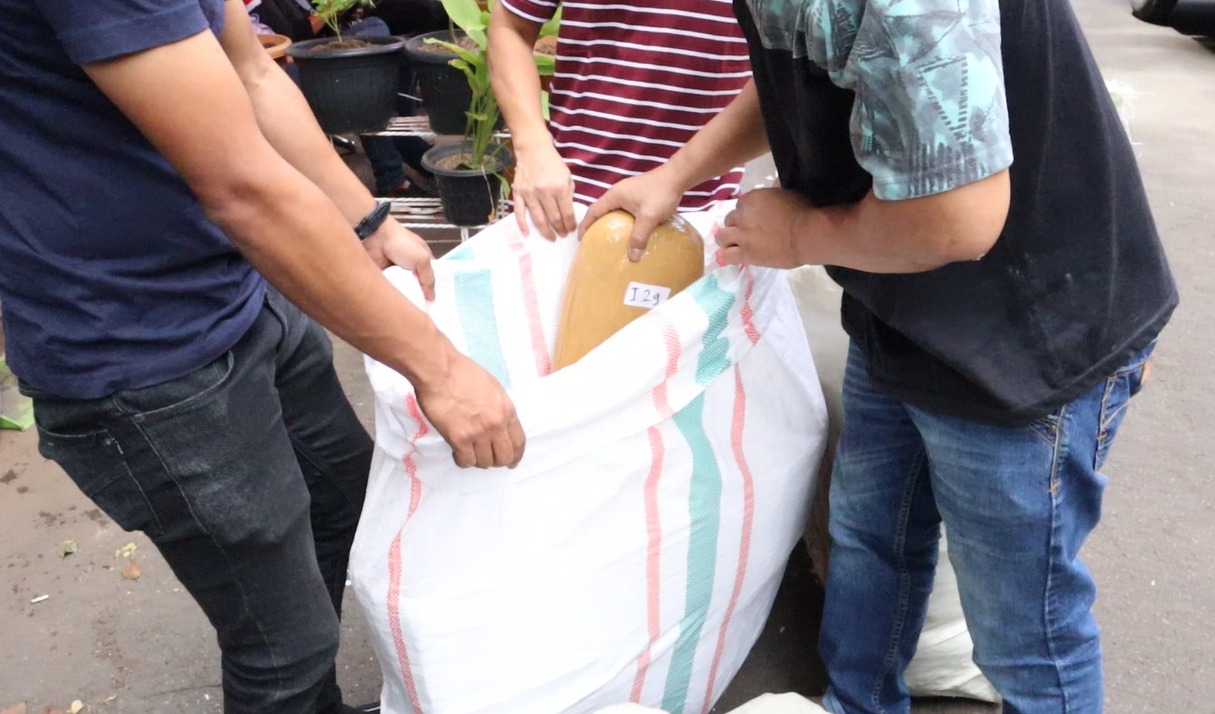 Polres Jakbar Sita 534 Kg Ganja Kering Siap Edar