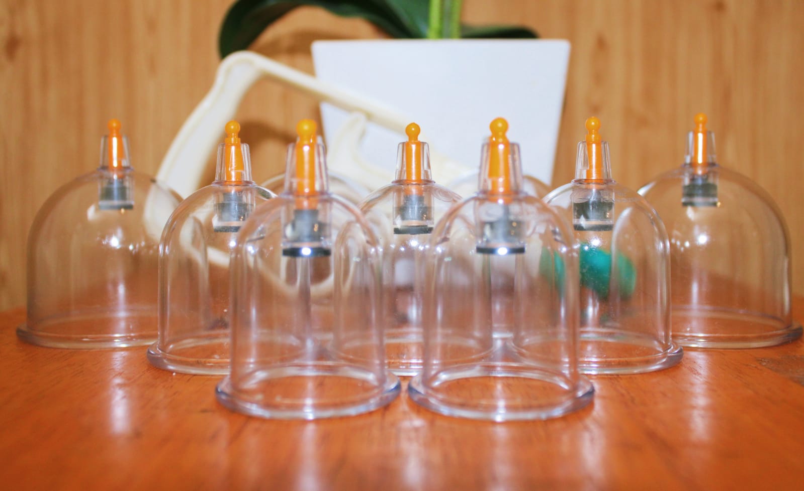 Peralatan khusus untuk terapi bekam.