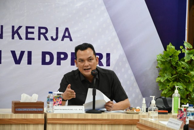 Wakil Ketua Komisi VI DPR RI Martin Manurung.