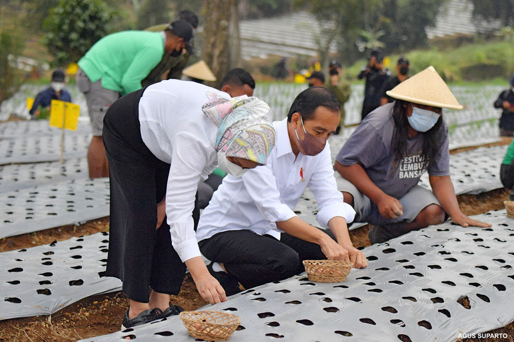 Presiden Tegur Mendag karena Buka Impor Bawang Saat Panen