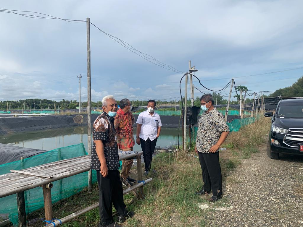 Jaringan listrik di wilayah petambakan udang vaname di Kabupaten Kebumen, Jawa Tengah