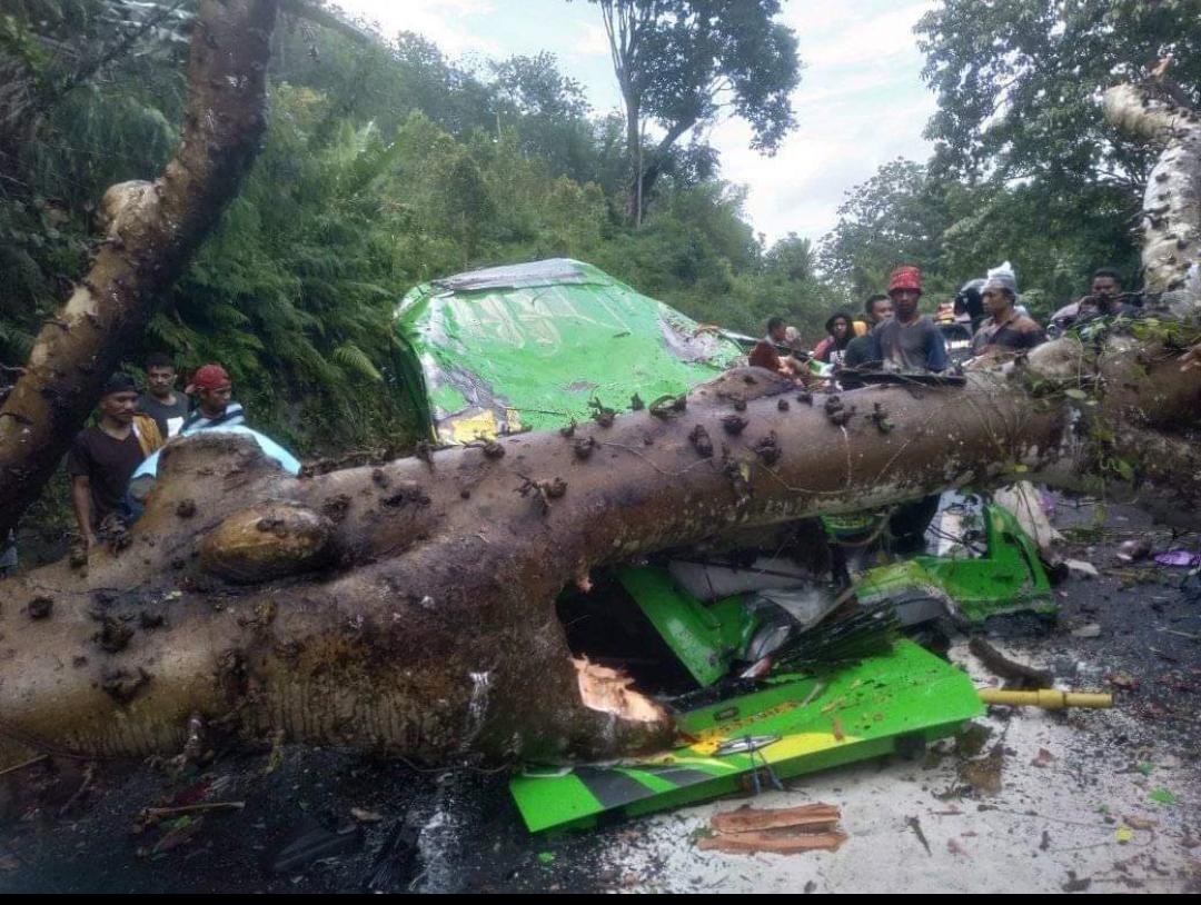 Minibus Tertimpa Pohon di Boawae, Nagekeo