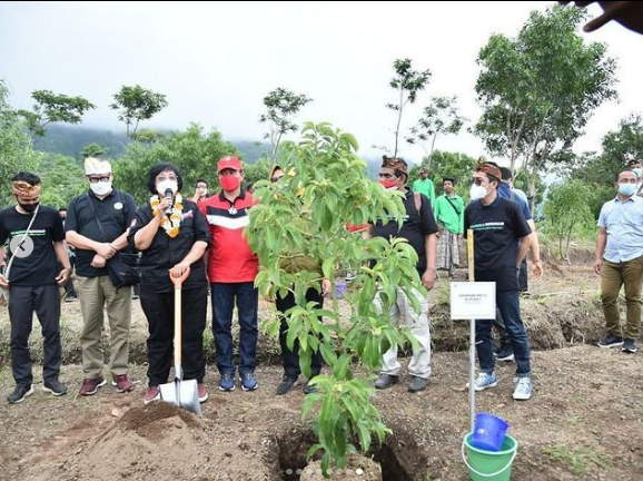  Gerakan Penanaman Serentak, Menteri Siti : Menangani Alam Butuh Kerja Nyata
