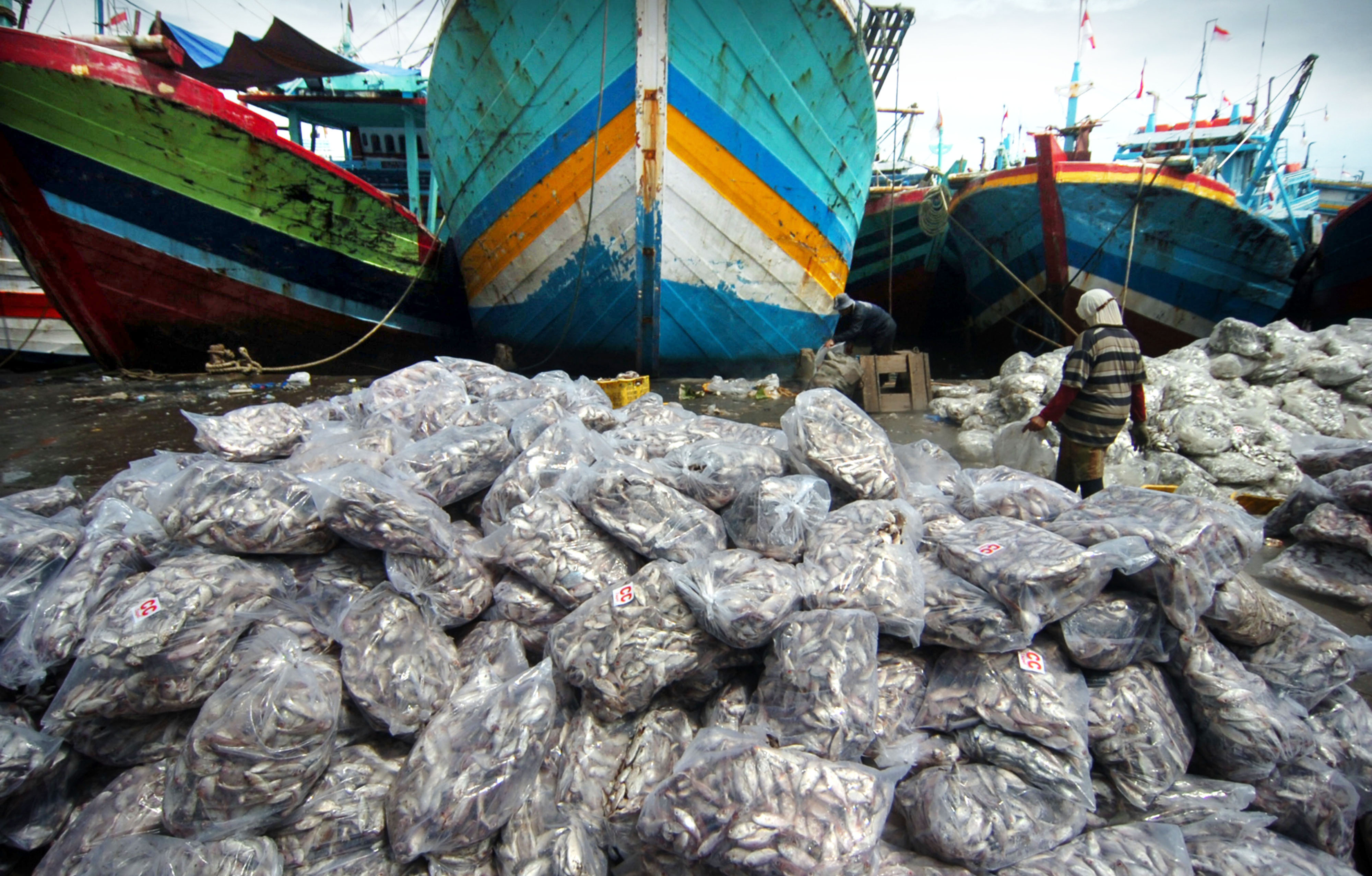 Tumpukan ikan hasil tangkapan nelayan