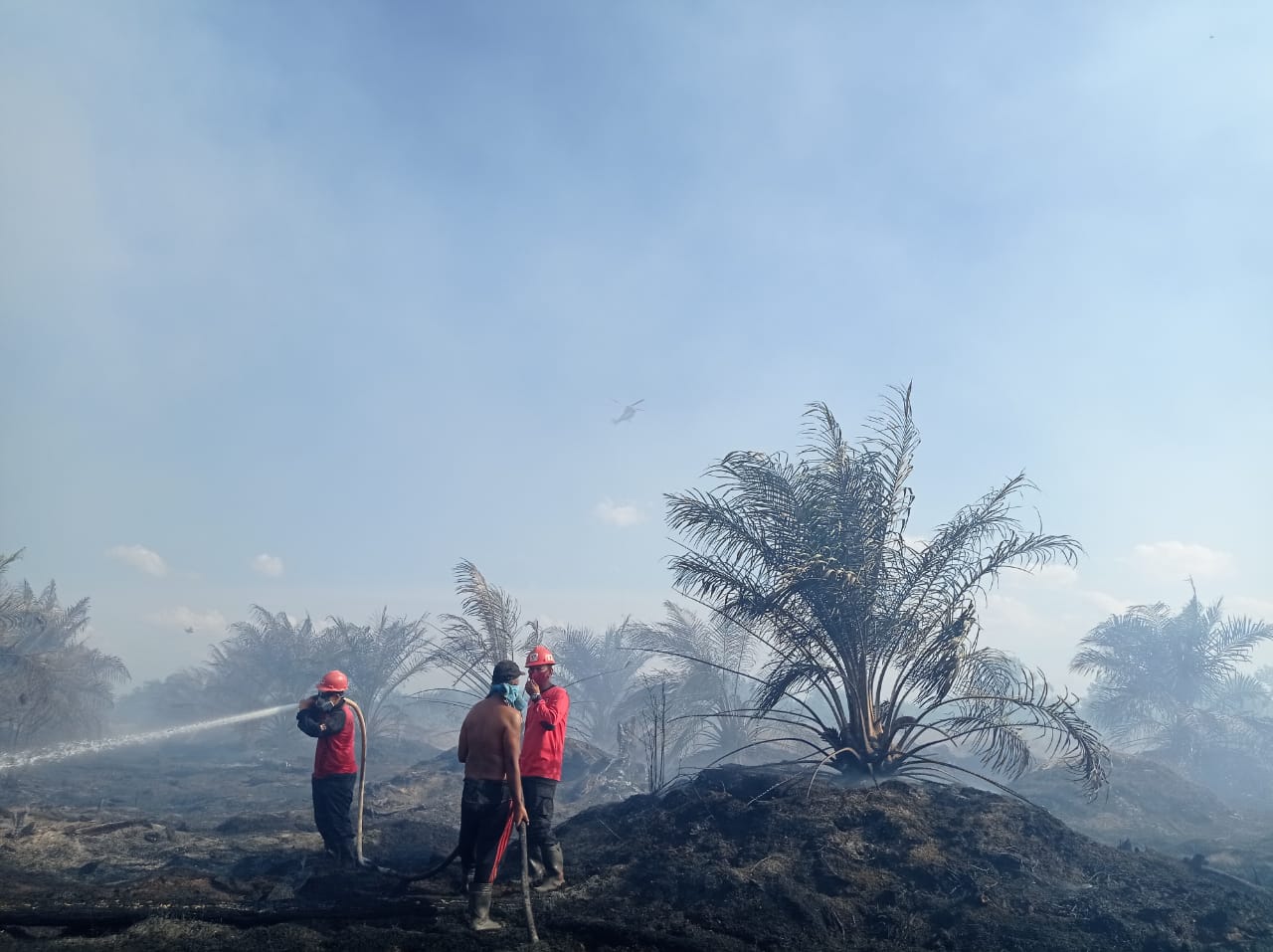 Manggala Agni melakukan penanganan Karhutka di Pekanbaru, Riau
