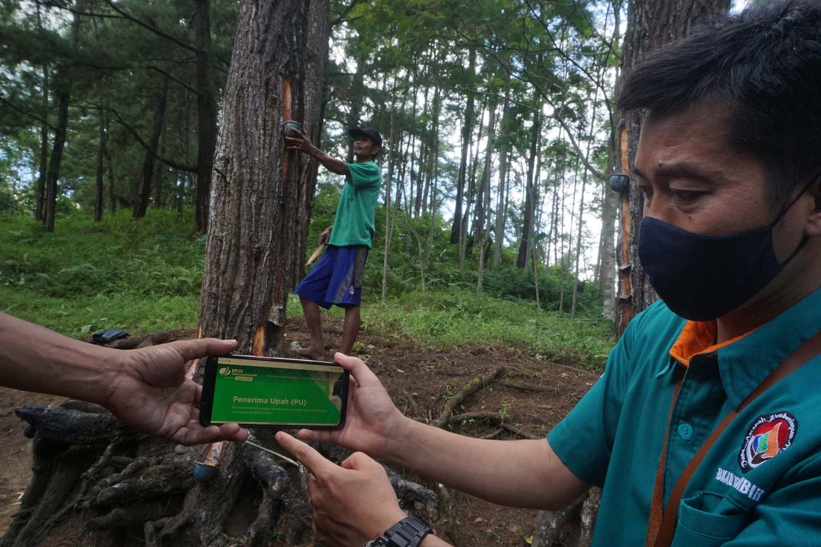 Agen Perisai BPJS Ketenagakerjaan memberikan sosialisasi kepada penyadap di hutan wilayah Lumbir, Banyumas