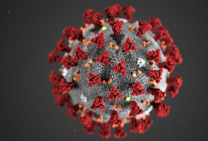 Ilustrasi - Virus Covid-19.