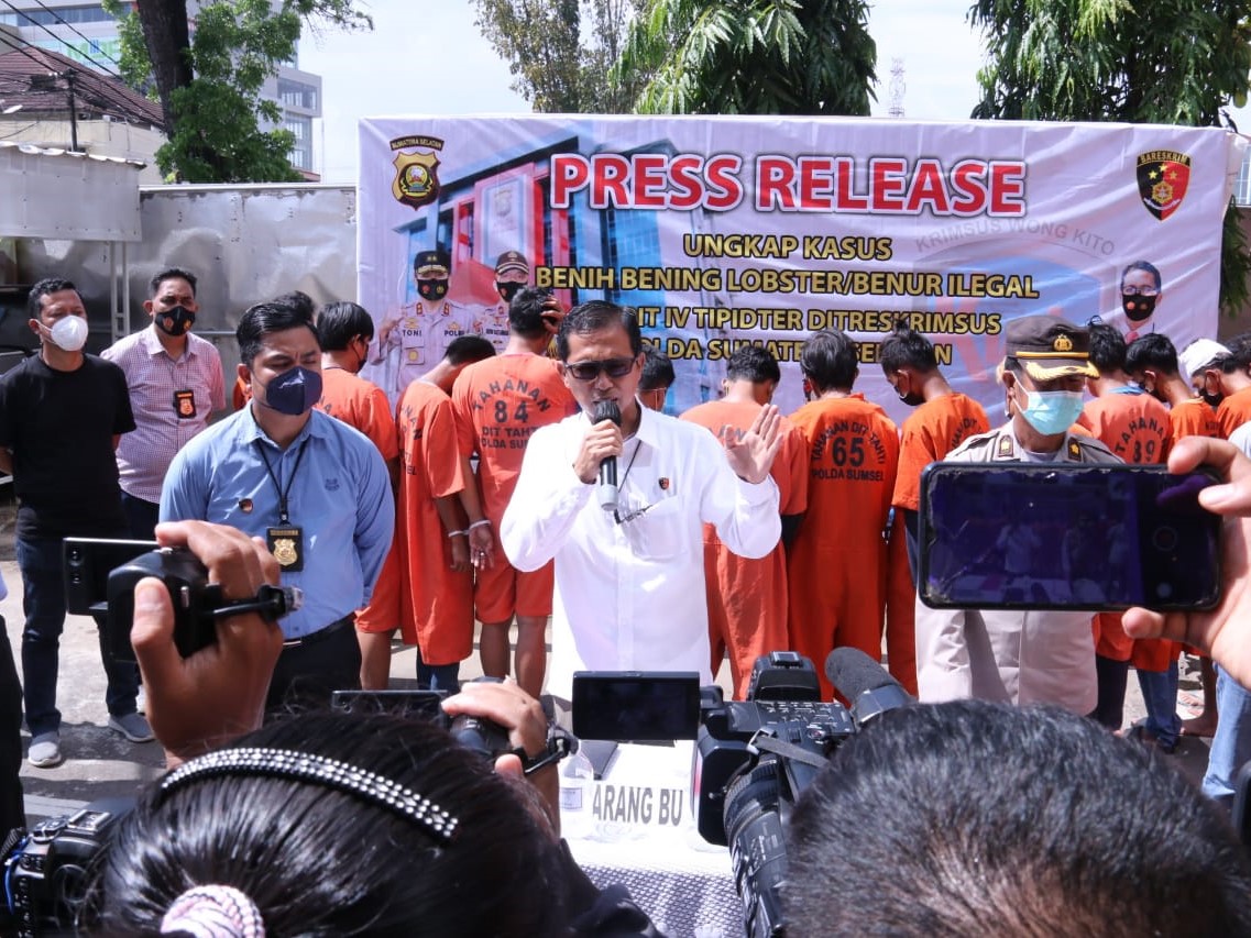 Rilis ungkap kasus dilakukan Polda Sumsel atas penggerebekan rumah penampungan baby lobster, Kamis (2/12/2021).
