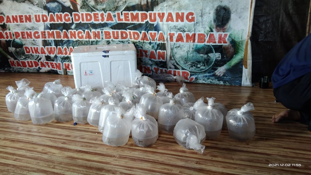 Bantuan benih benur udang windu diserahkan ke petambak di Kotawaringin Timur