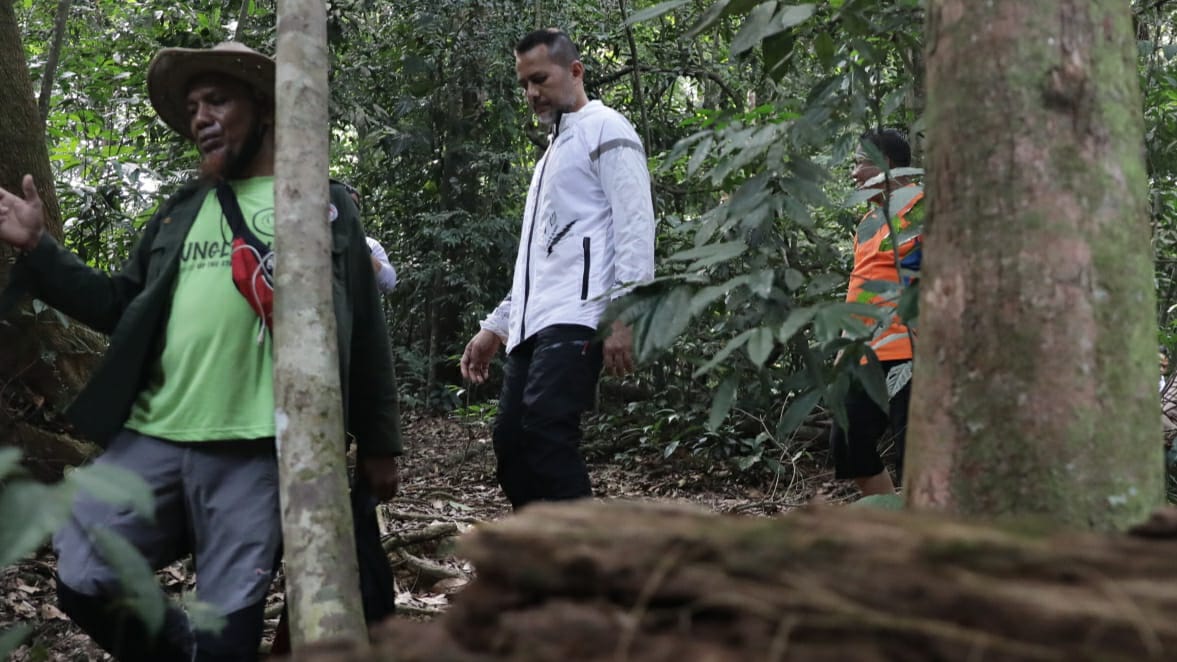 Wakil Gubernur Sumatra Utara Musa Rajekshah (baju putih) di hutan Gunung Leuser