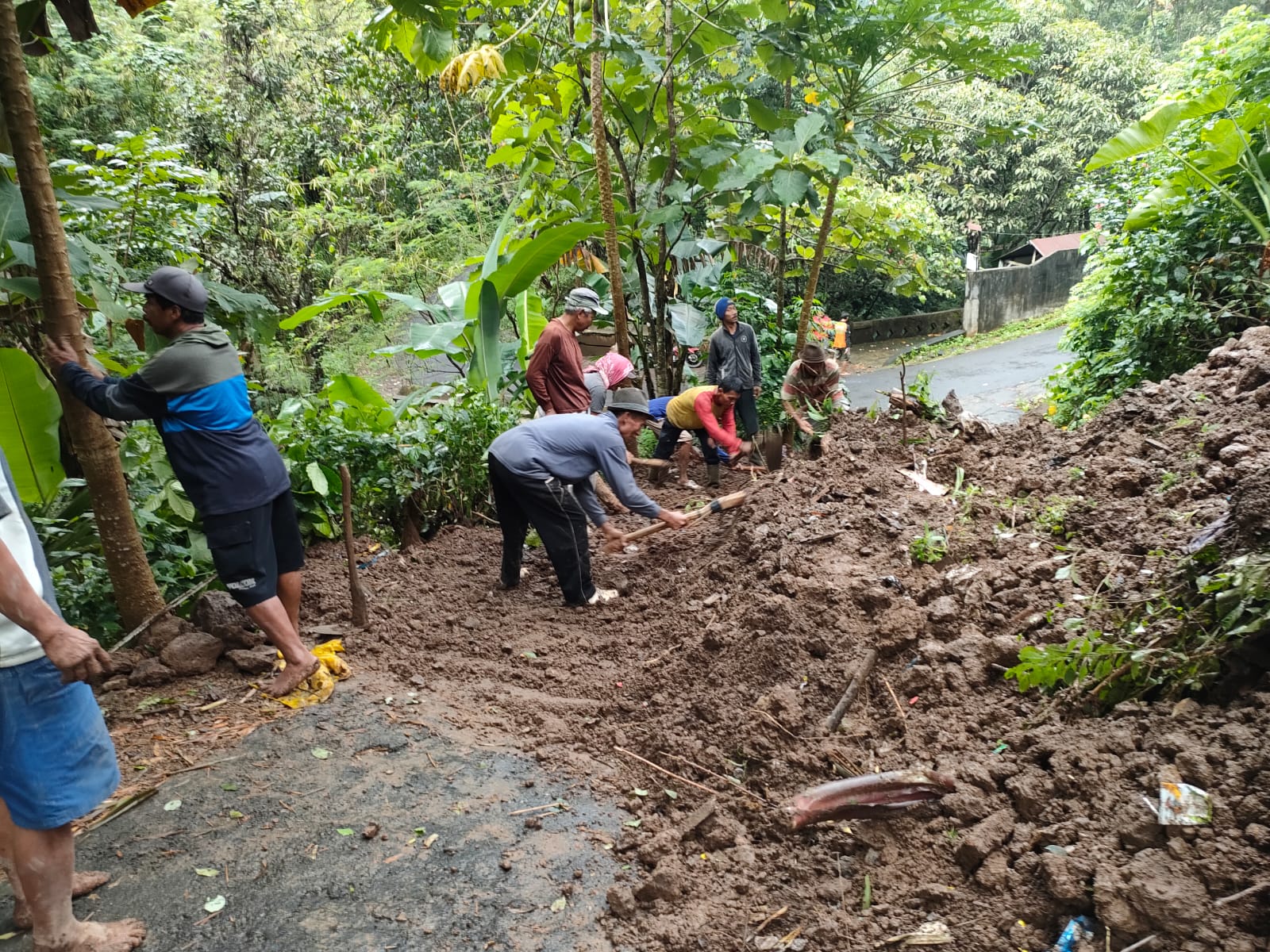 BPBD Kudus beserta Forum Relawan Penanggulangan Bencana (FRPB) Kudus membersihkan Kondisi longsor yang menutup jalan di Desa Menawan