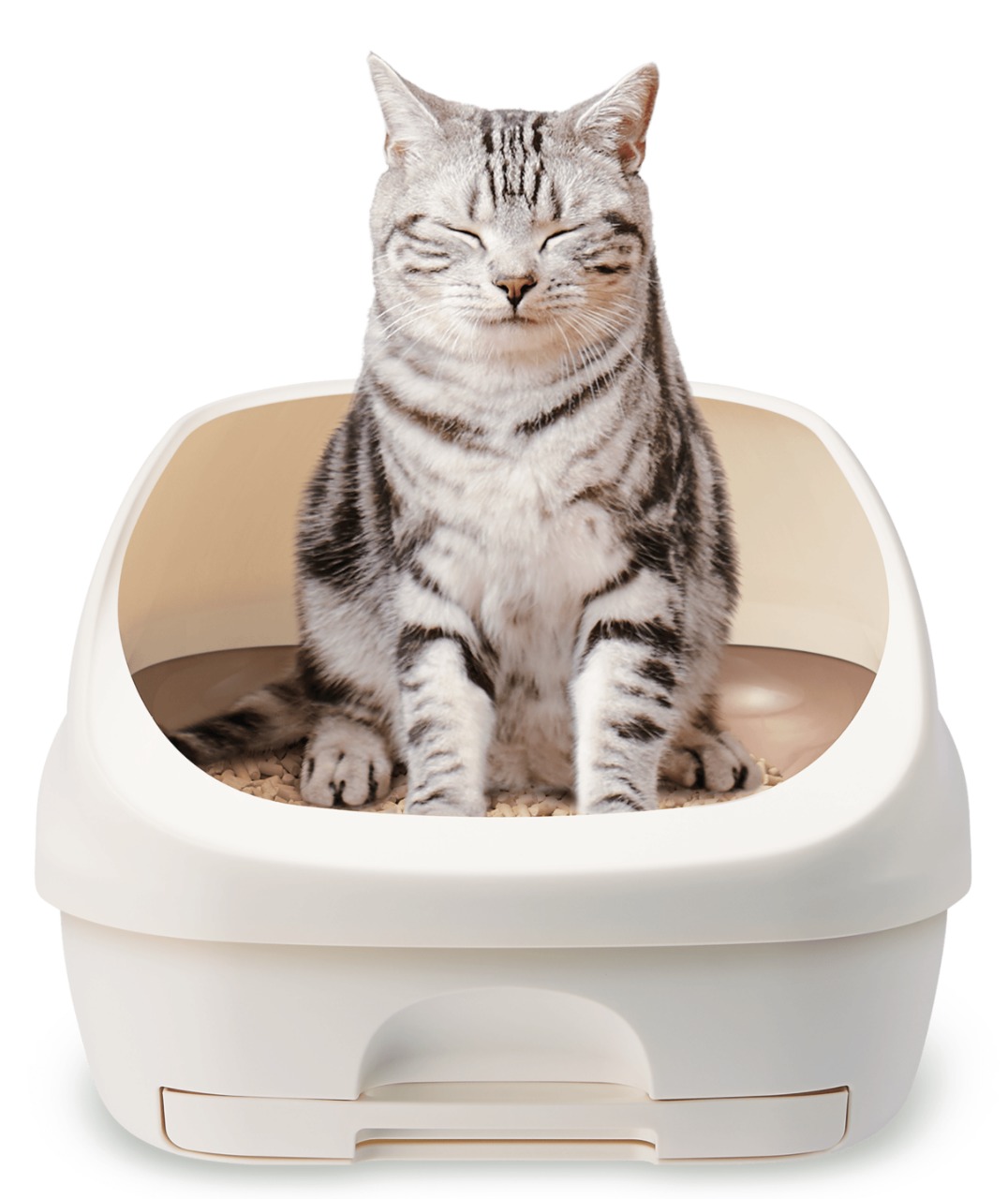 Deo-Sheet menjawab kebutuhan toliet kucing dan anjing peliharaan.