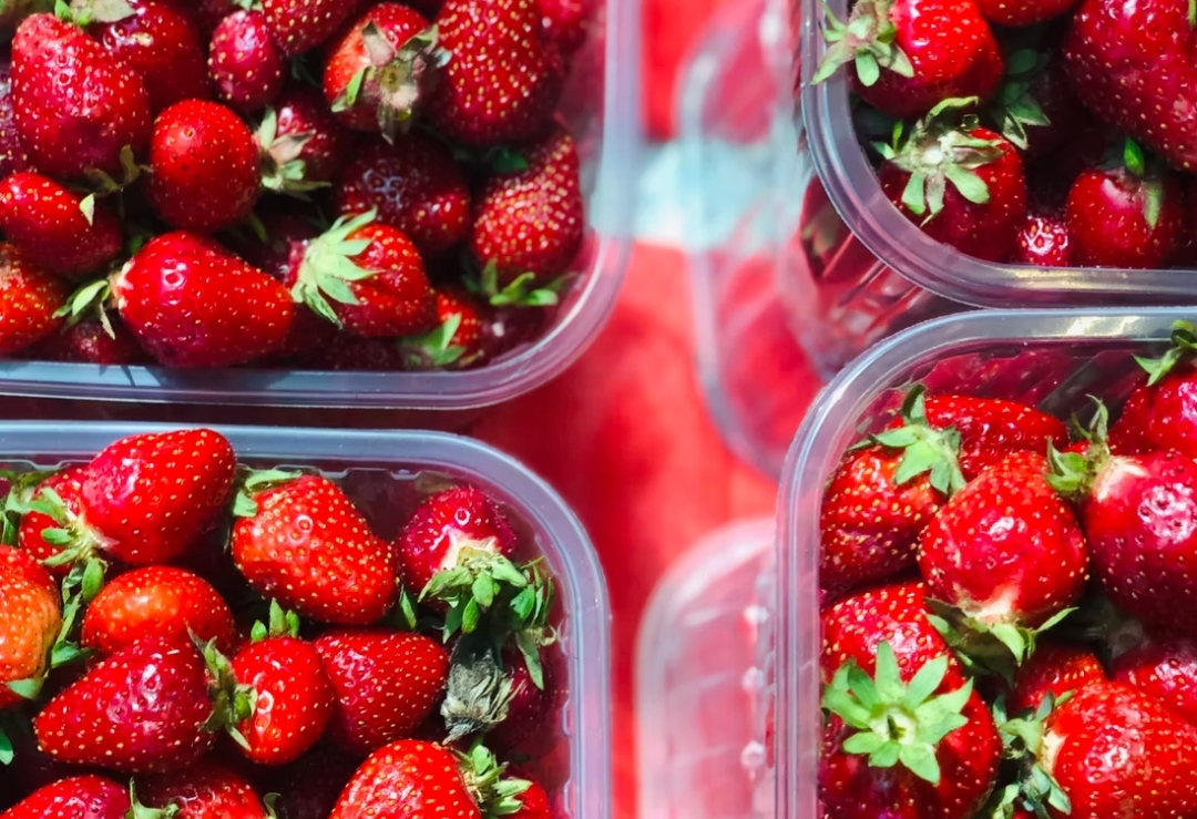 Ilmuwan Ciptakan Kemasan yang Perpanjang Umur Simpan Makanan