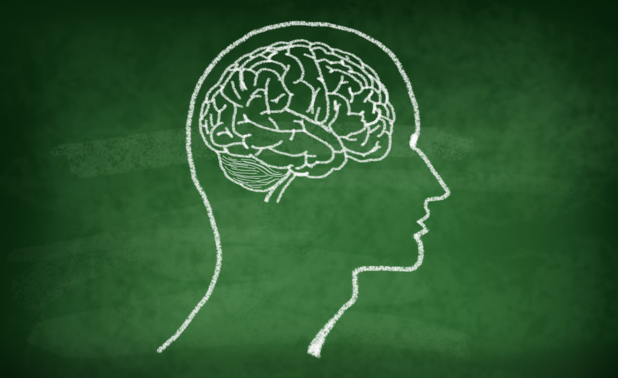 Neuralink siap-siap uji klinis pada manusia. 