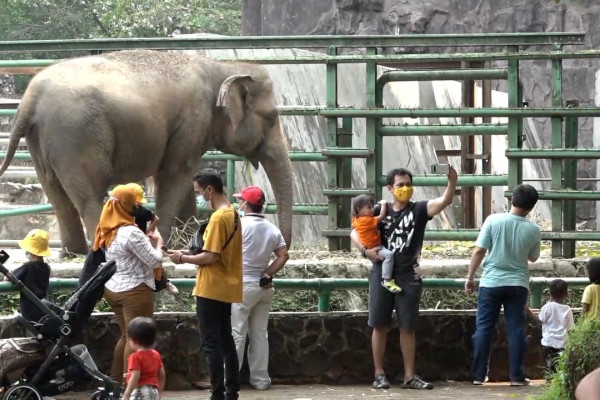 Pengunjung berswafoto dengan latar belakang gajah di Taman Margasatwa Ragunan, Jakarta, Minggu (2/1/2022). ANTARA/Zubi Mahrof