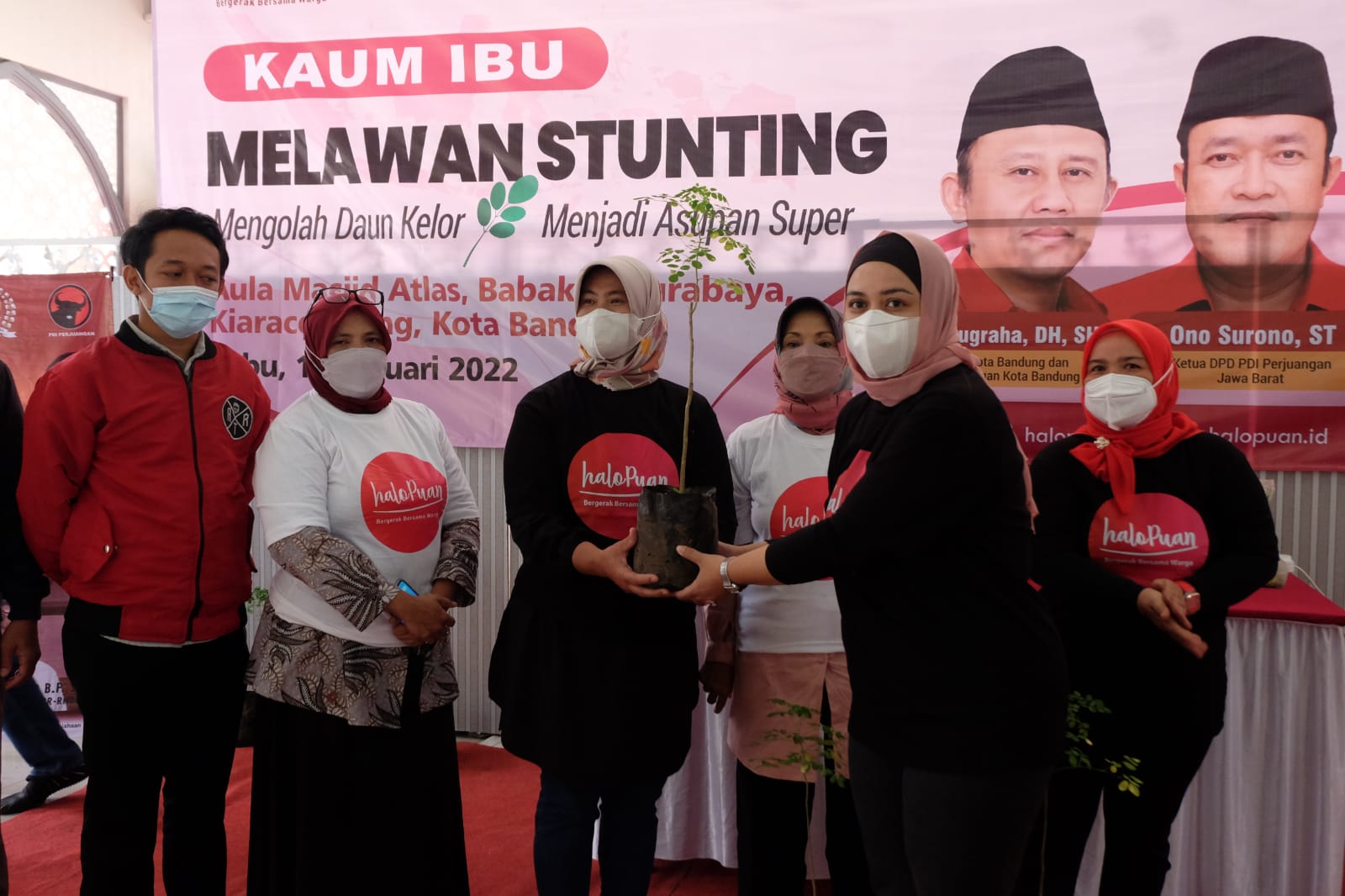 Melawan Stunting, HaloPuan Gencarkan Penanaman Tanaman Kelor