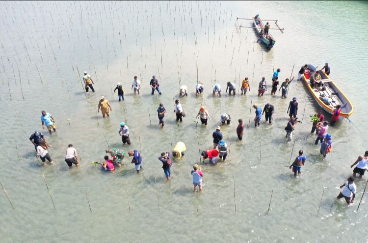  BRGM akan menambah luasan target restorasi gambut pada tahun 2022 sekitar 360.000 hektare.